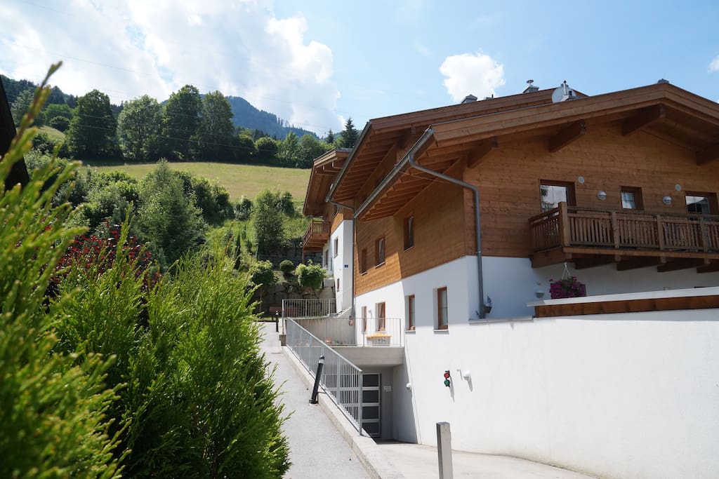 House near forest in silent place