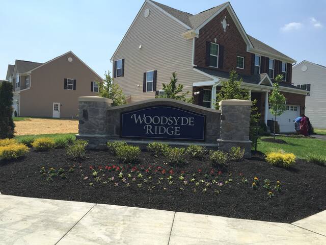 Beautiful 1 Bedroom Basement Apartment