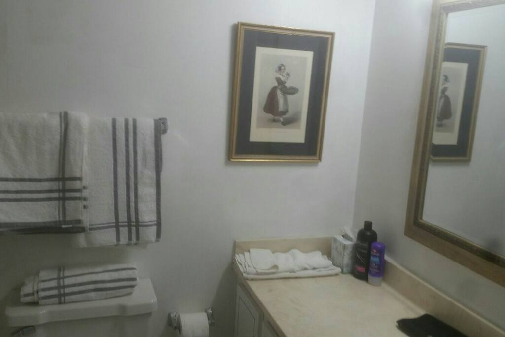 Bathroom with all furnishings