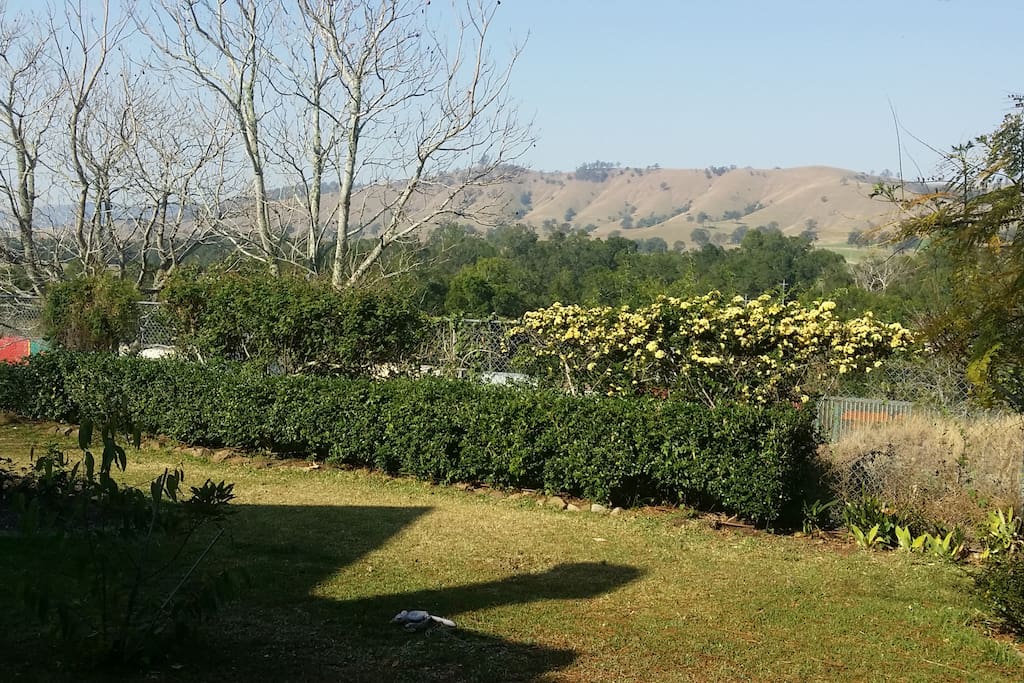 View from the garden across Dungog hills