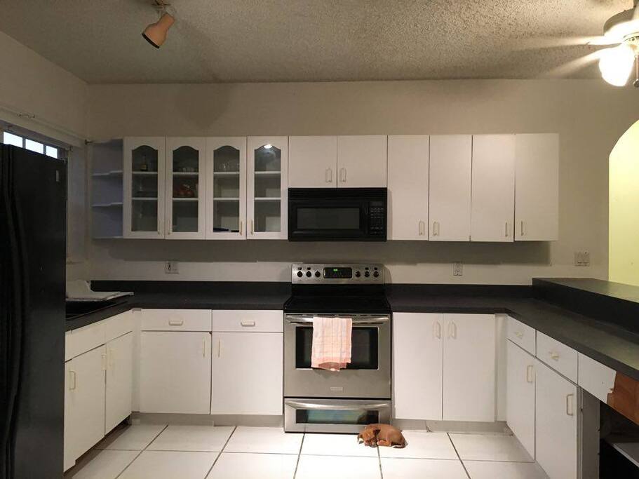 Kitchen with added dog.