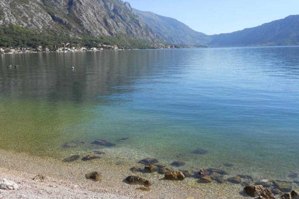 Beach in front of the house
