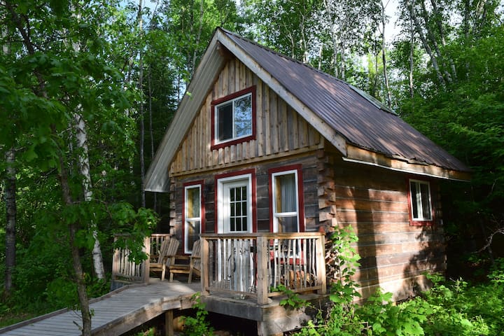 Rustic Cabin With Lake Access Wild Woods Hideaway Cabins For