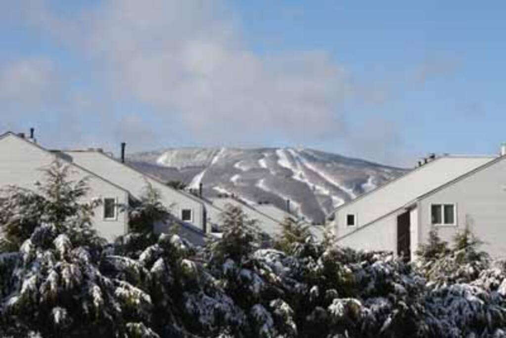 Gorgeous views of Okemo Mountain