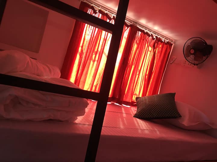 6-Bed Mixed Dorm in Cohostel, Hippie Lane