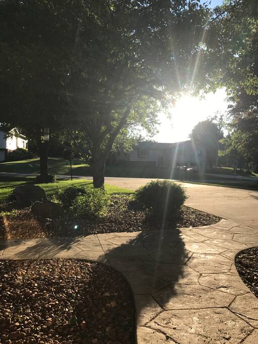 Front yard