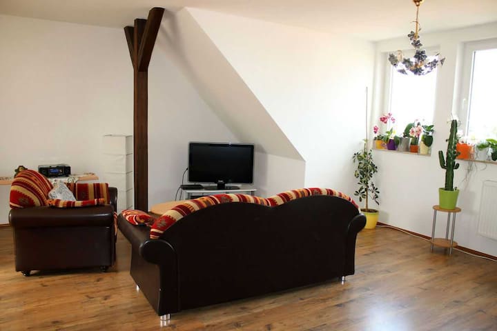 Gr. 4R. Apartment, W-LAN, Dachterrasse
