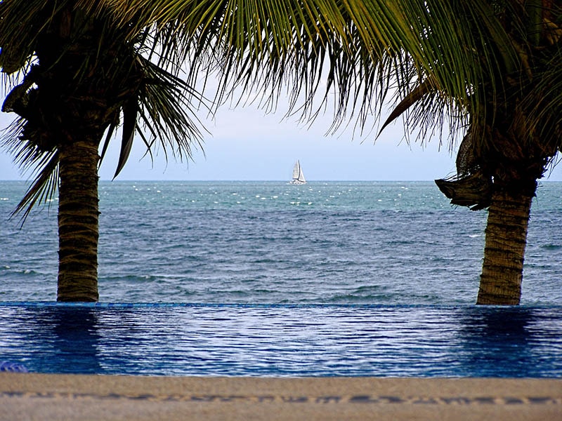 An infinity pool extends toward the ocean, framed by swaying palm trees. In the distance, a sailboat glides across the shimmering water, contrasting with the serene horizon under a soft sky.