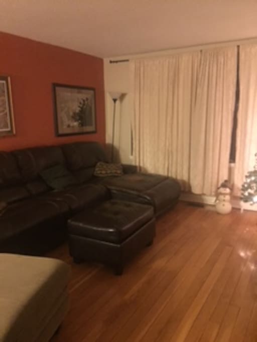 Spacious living room; very comfortable couch that easily can sleep two.