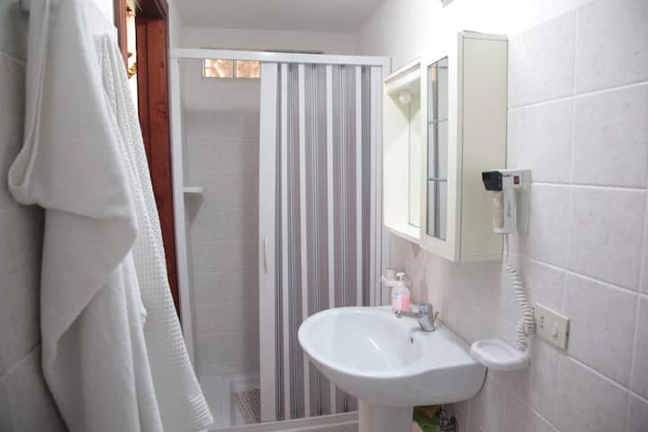 Bathroom downstairs with cabin shower, hairdryer and bidet.