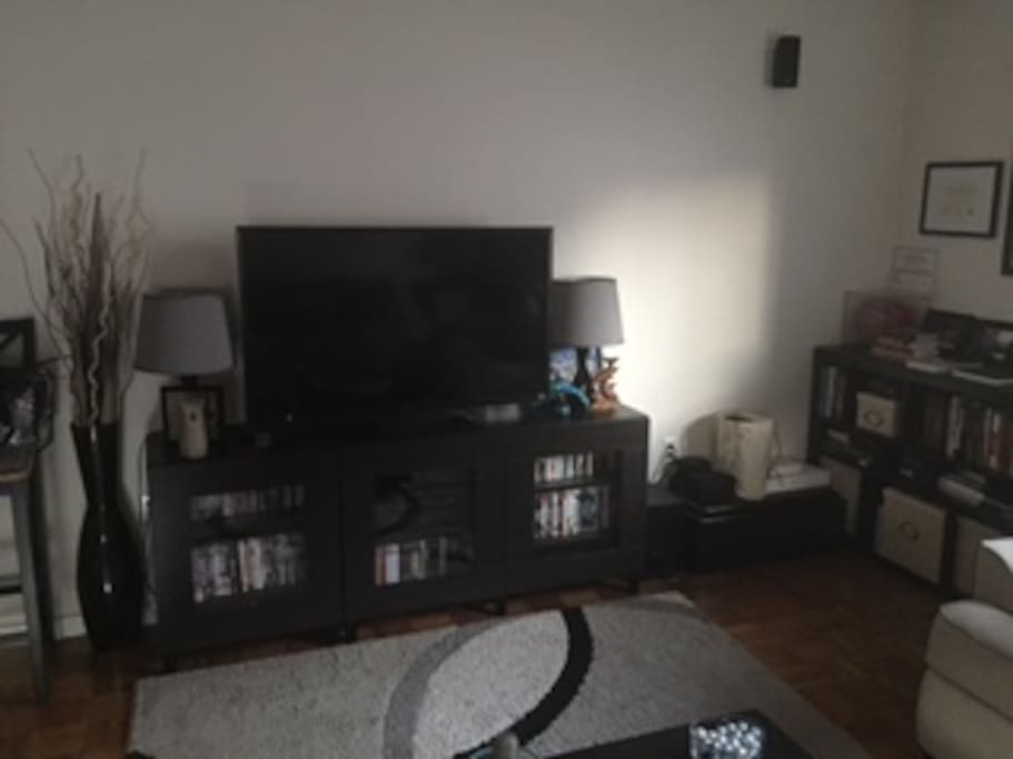 Large Living Rm Pullout Sofa