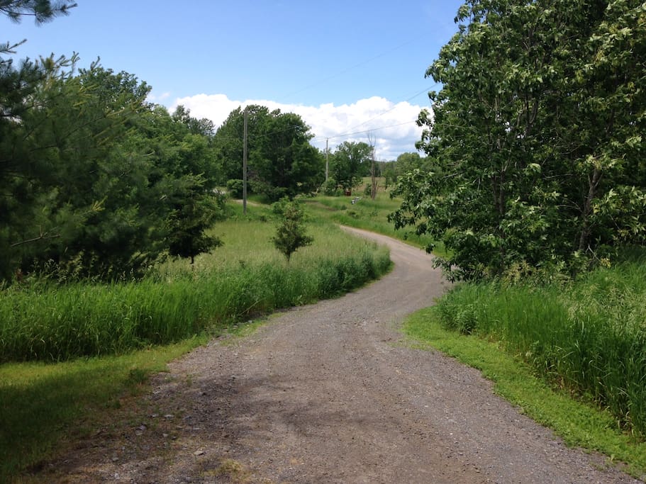 Laneway down to the main Road