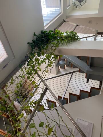 Beautiful Modern Townhouse at Santa Monica Beach gallery image 4