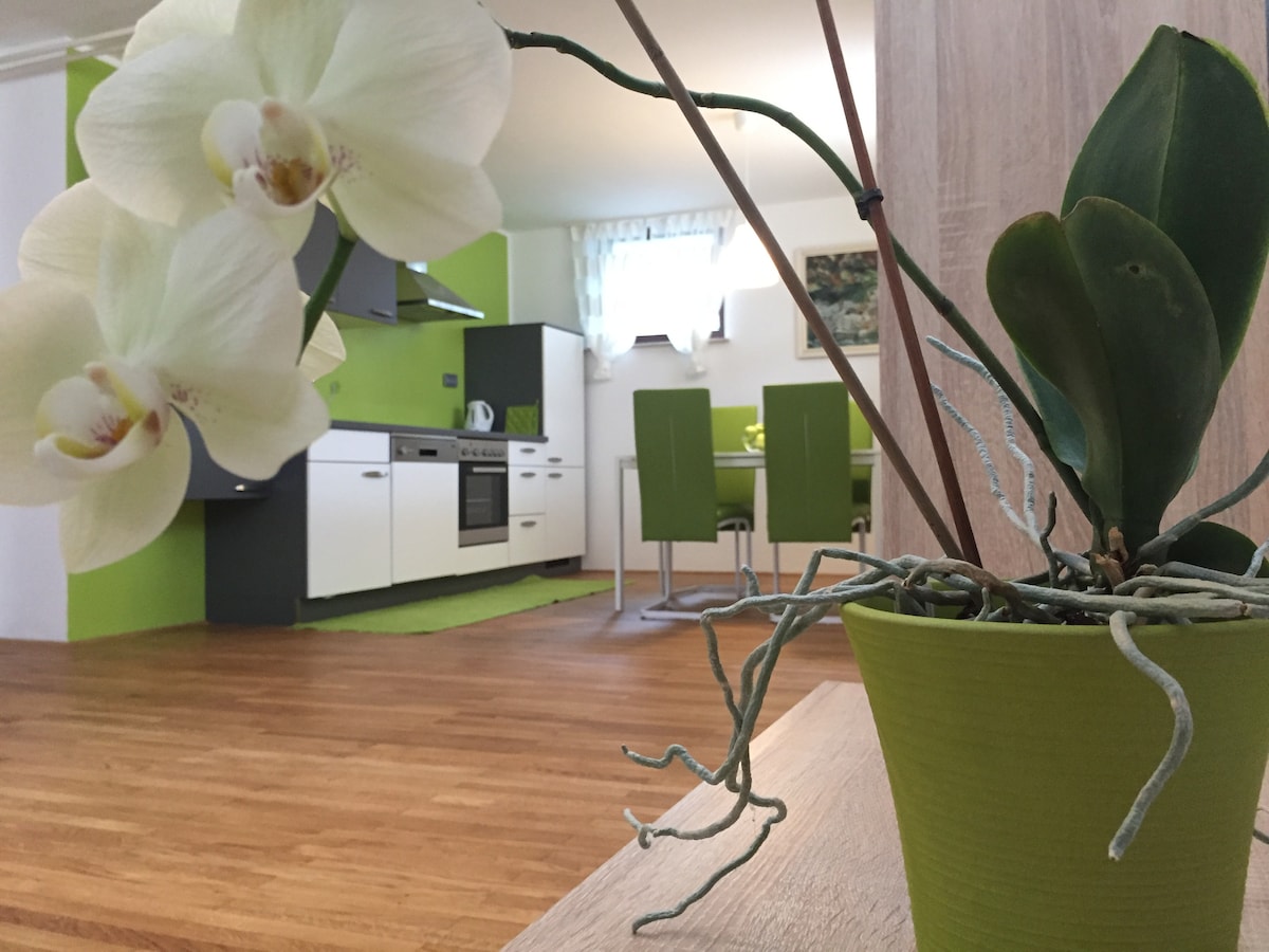A potted orchid with delicate white flowers is positioned in the foreground. The background reveals a modern kitchen and dining area, featuring green accents and a wooden floor. A dining table with matching green chairs is visible, creating a cohesive look.