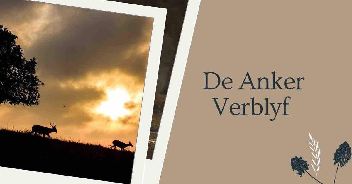 Silhouettes of two deer are seen on a grassy hill, set against a sunset sky. Soft hues of orange and gray blend in the background, with large clouds diffusing the light, creating a serene atmosphere.