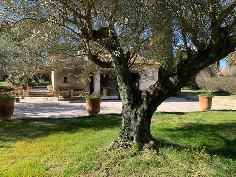 Mas with pool in the heart of an olive grove