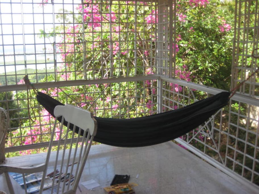 the hammock overlooking the view