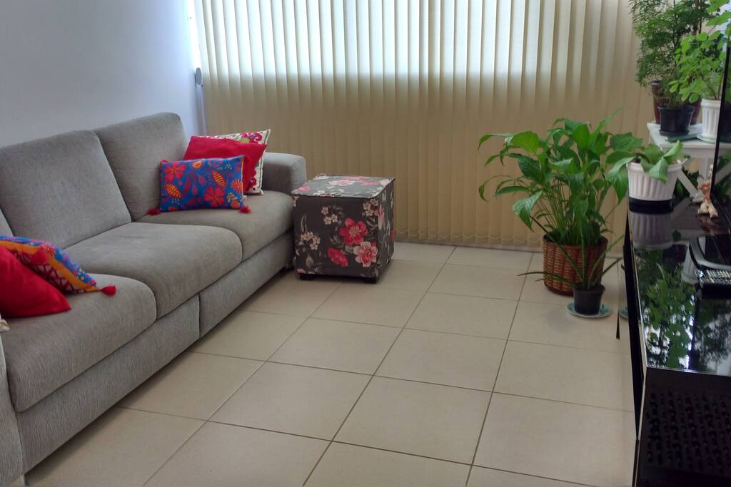 Living Room / Sala de Estar