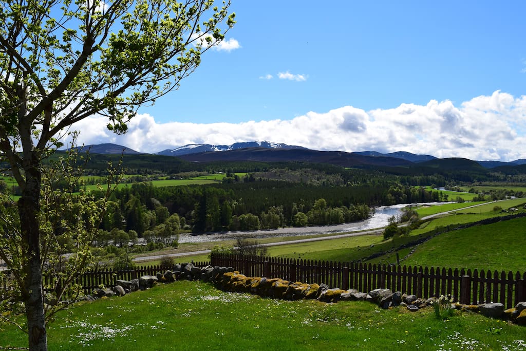 View from the Garden