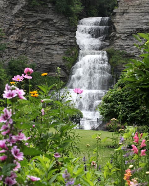 The Estate at Glenora Falls