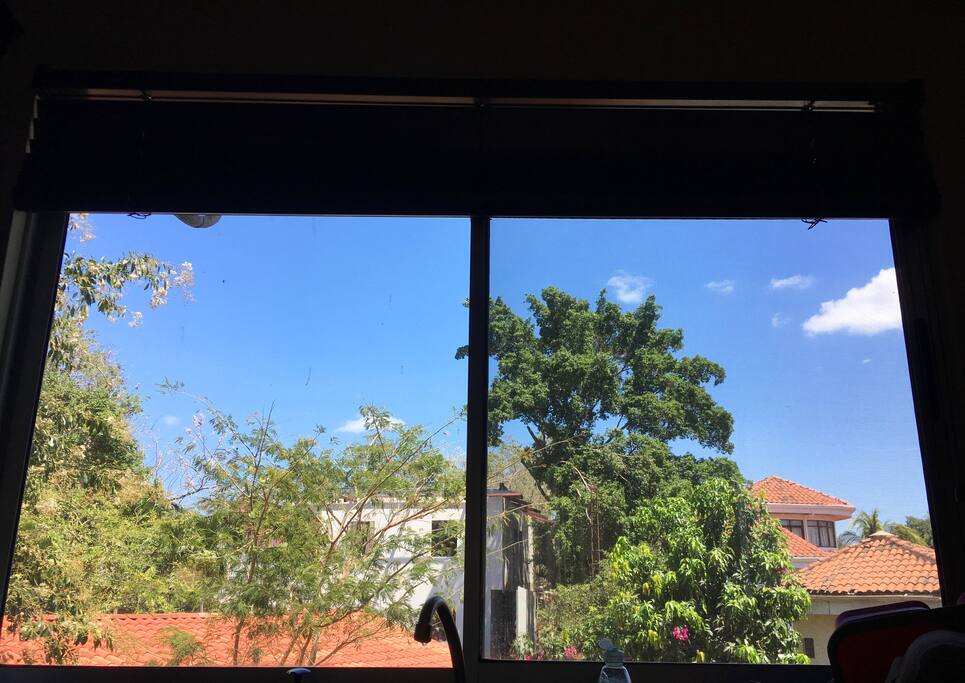 View outside window of Full kitchen