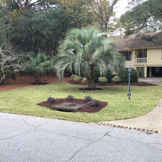 A well-maintained front yard features a manicured lawn with shrubs and palm trees. Mulched flower beds surround a small concrete area, enhancing the natural landscape. The driveway leads to the home, which is visible in the background among lush greenery.