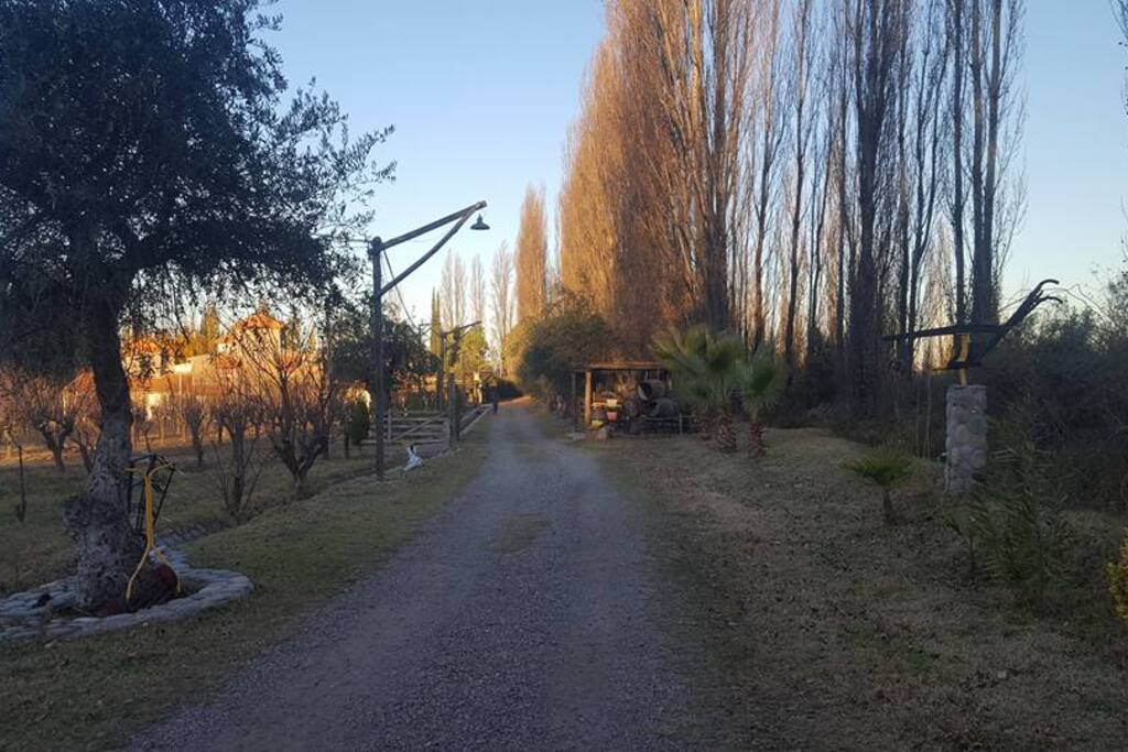 Entrada.