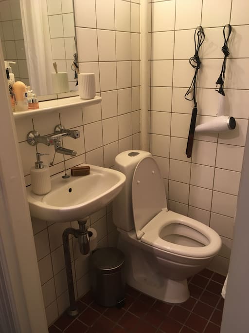 Toilet (there is a shower on the other side)