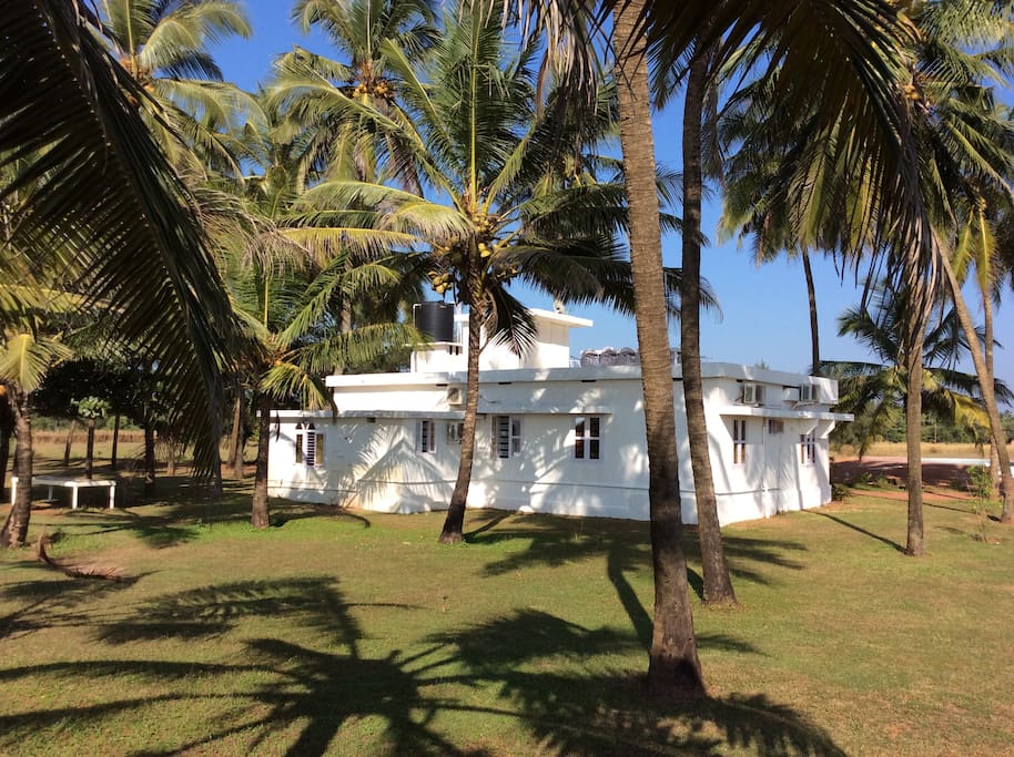 Newly renovated fisherman's cottage surrounded by coconut trees
