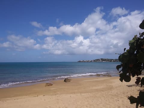 Top performing Airbnb: Cozy Tiny House Near the Beach in Vieques