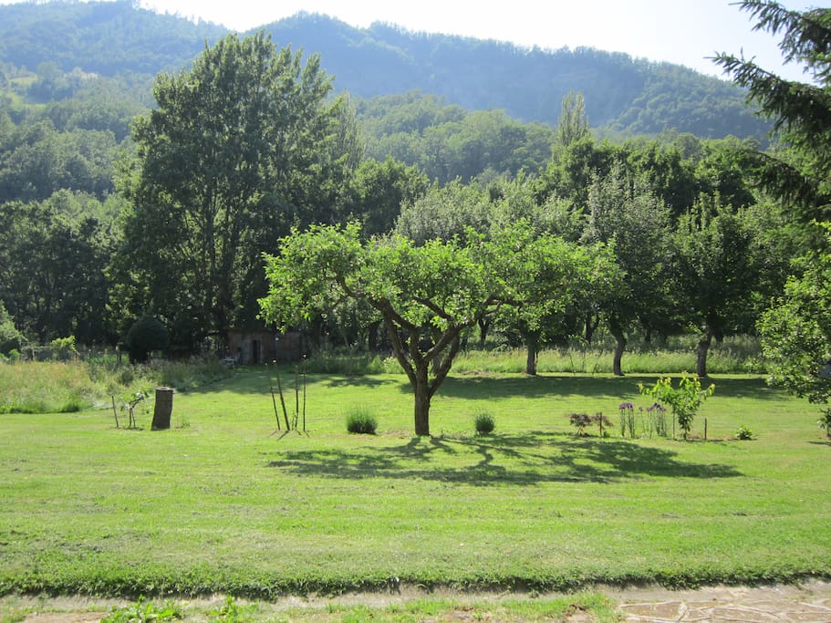 Giardino con alberi da frutto