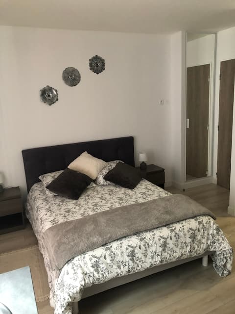 Private apartment in the city center