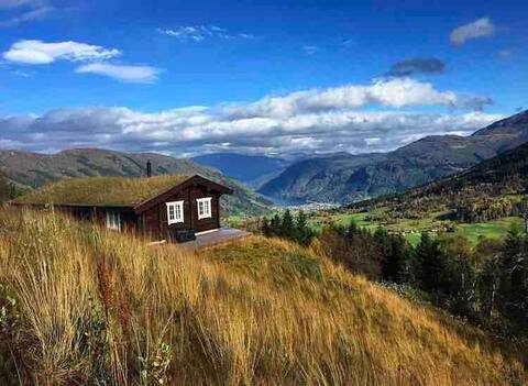 Amazing view and a relaxing cabin in Vik i Sogn