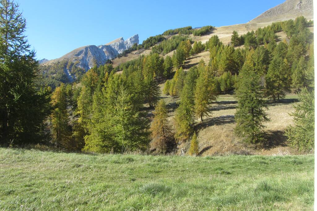 Vue depuis le studio