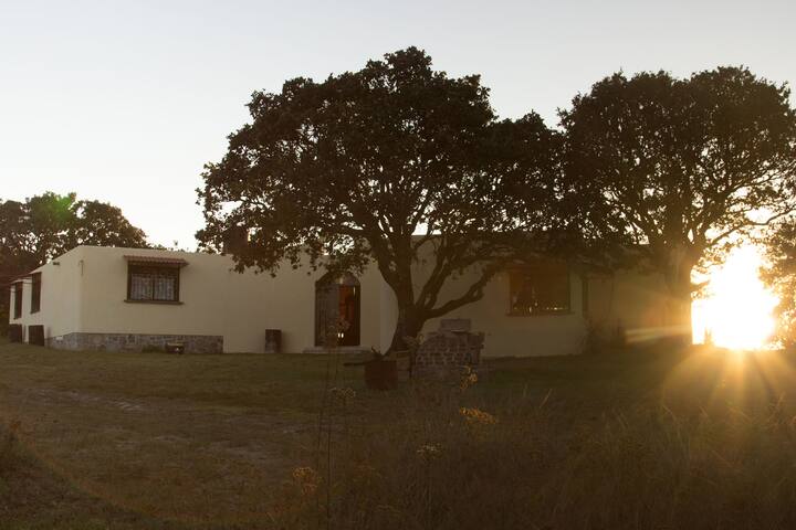 Cabaña Rancho Los Lobos - Nature & Activities