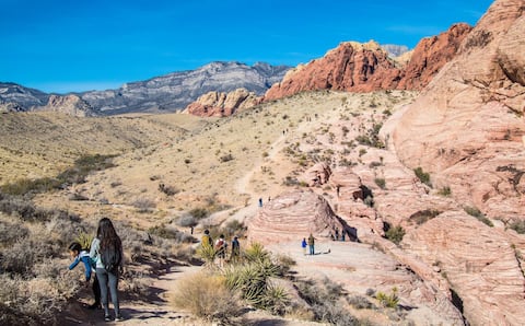 Actividades únicas en Las Vegas