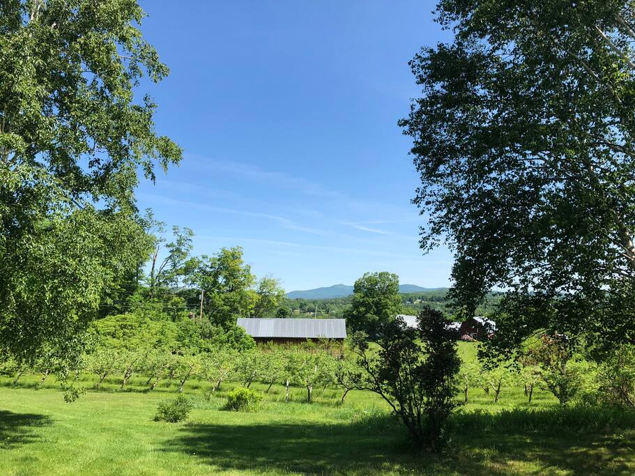 Your view from the front steps.