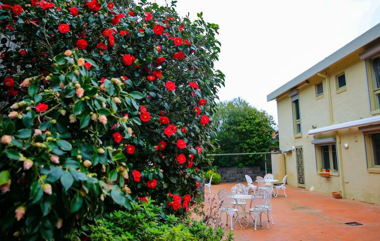 Lynnwood Villa Best Melbourne Retreat 墨尔本精品商务旅游聚会 gallery image 2