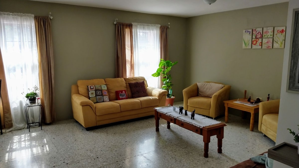 A bright living room features a yellow sofa with decorative pillows and a matching armchair. Natural light streams through the sheer curtains, illuminating a potted plant. A wooden coffee table, set with small decorative items, complements the space's relaxed atmosphere.