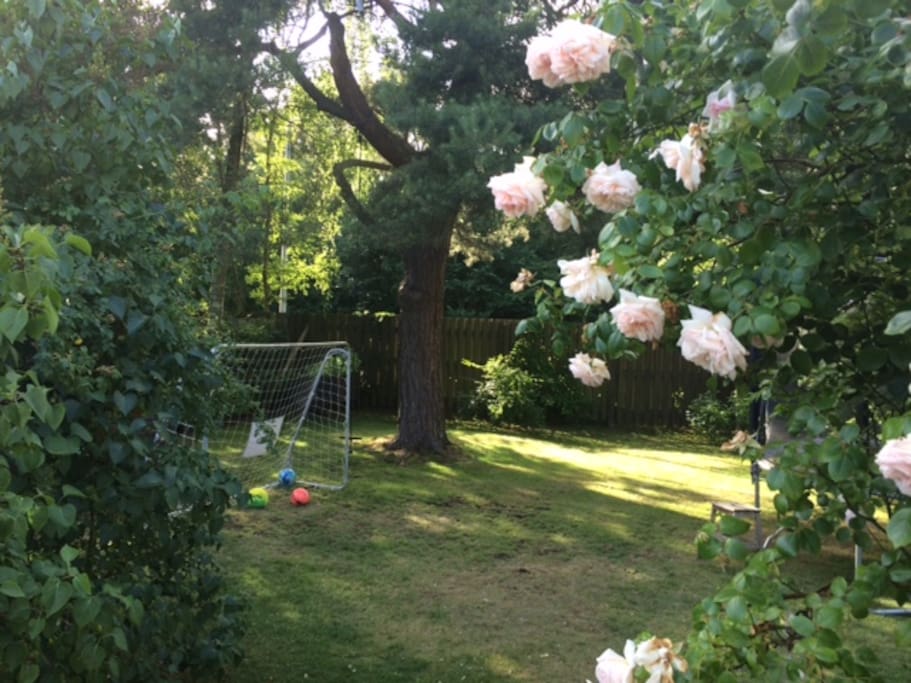 Large garden