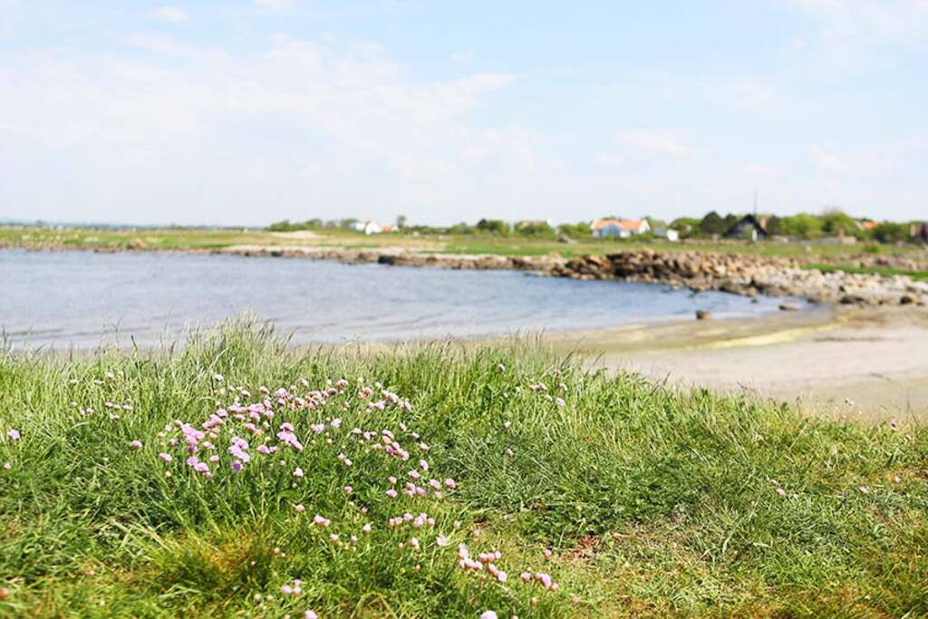 500 m to the sea