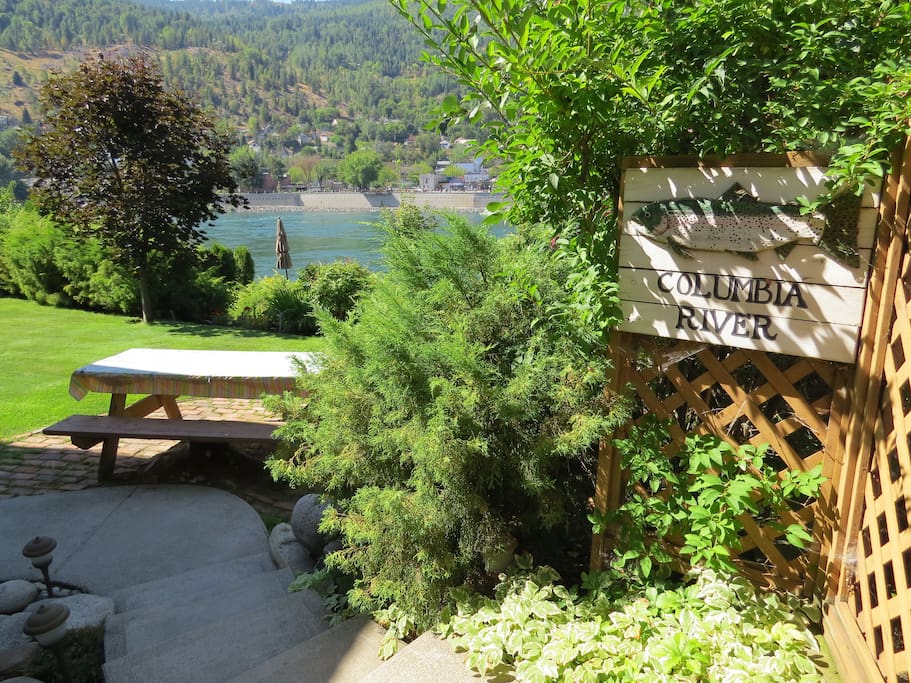 Back yard and your view!