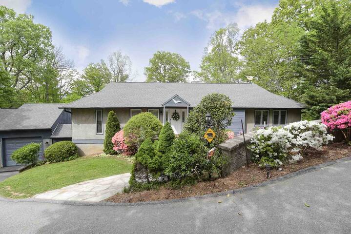 Chateau on Patton Mountain! Minutes to downtown! gallery image 2