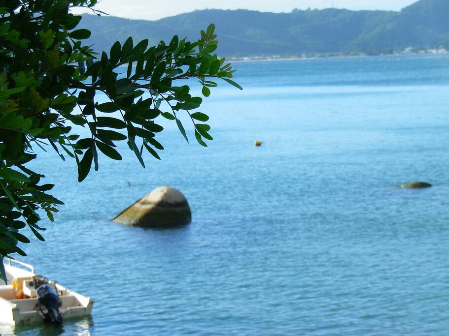 MAR E NATUREZA EM HARMONIA!