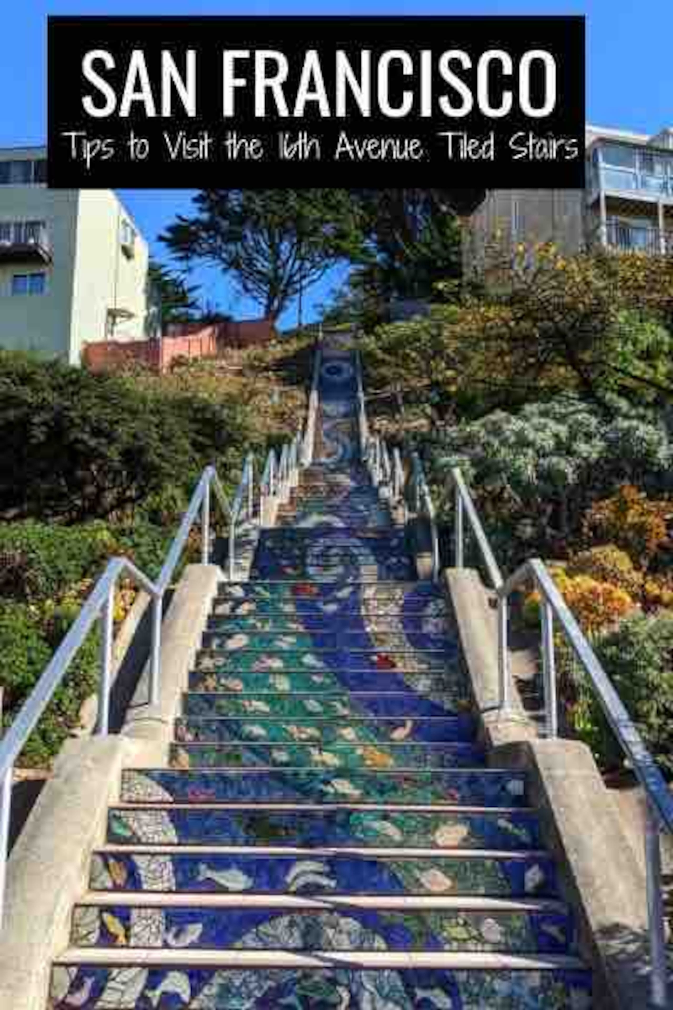 Home in San Francisco · ★4.68 · 2 bedrooms · 5 beds · 1 bath - Image 36