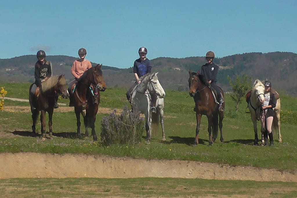 De la découverte au perfectionnement de l'équitation