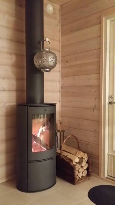 Fireplace. The best in the winter!