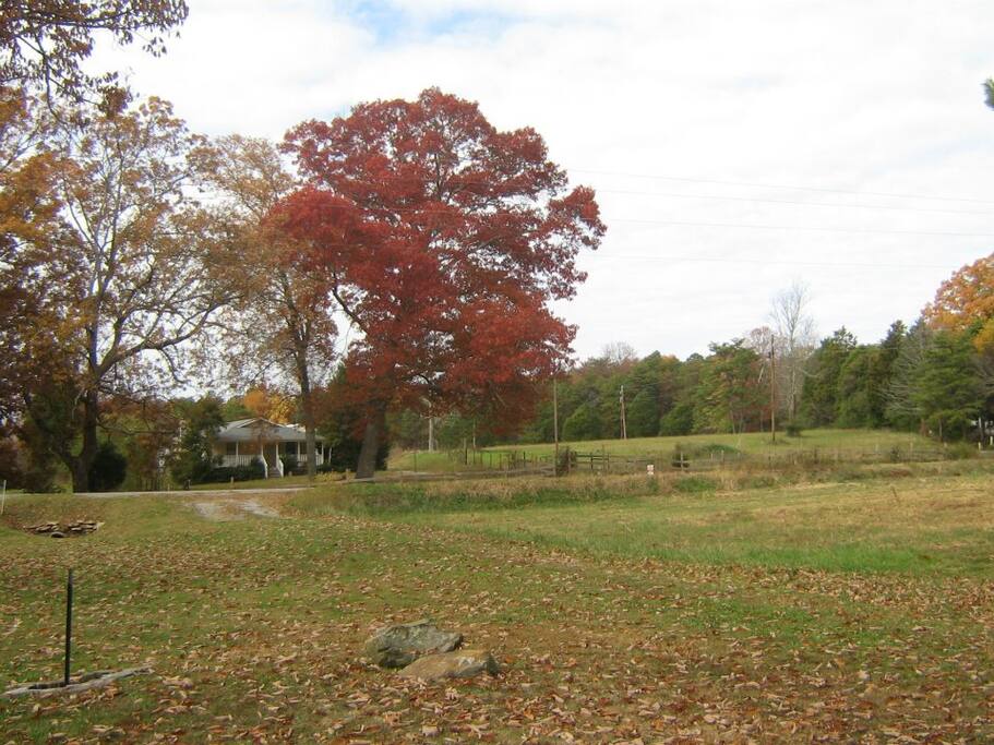 Quiet country setting.