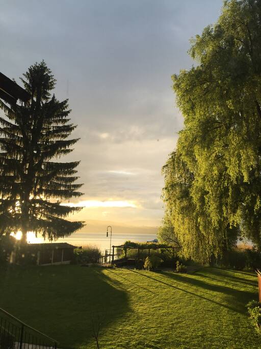 Aussicht auf den See