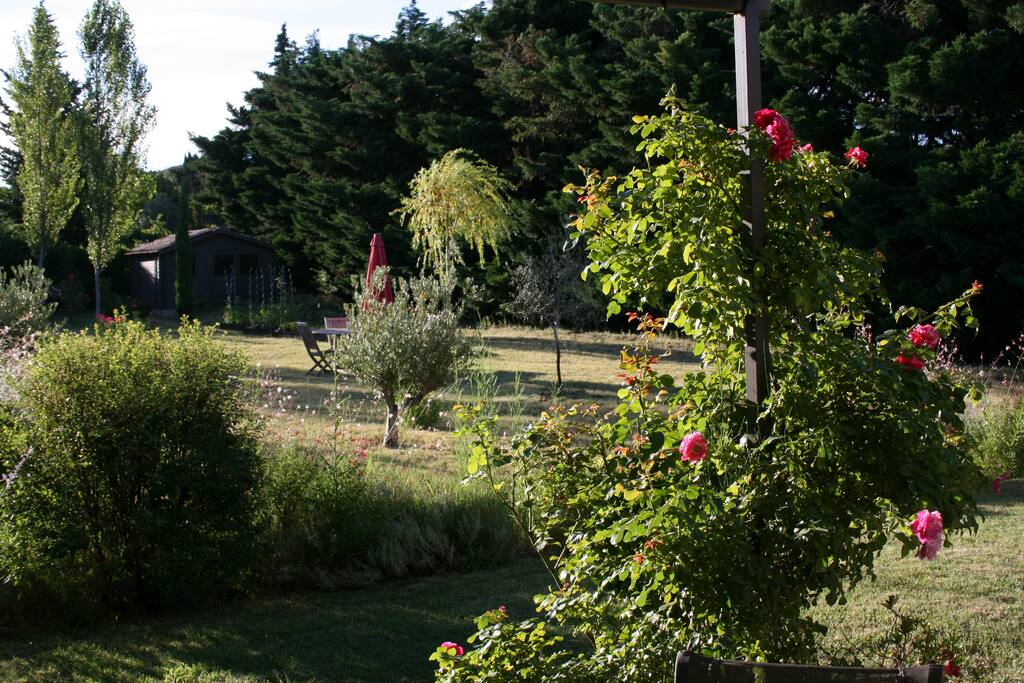 Le calme d'un jardin Provençal....